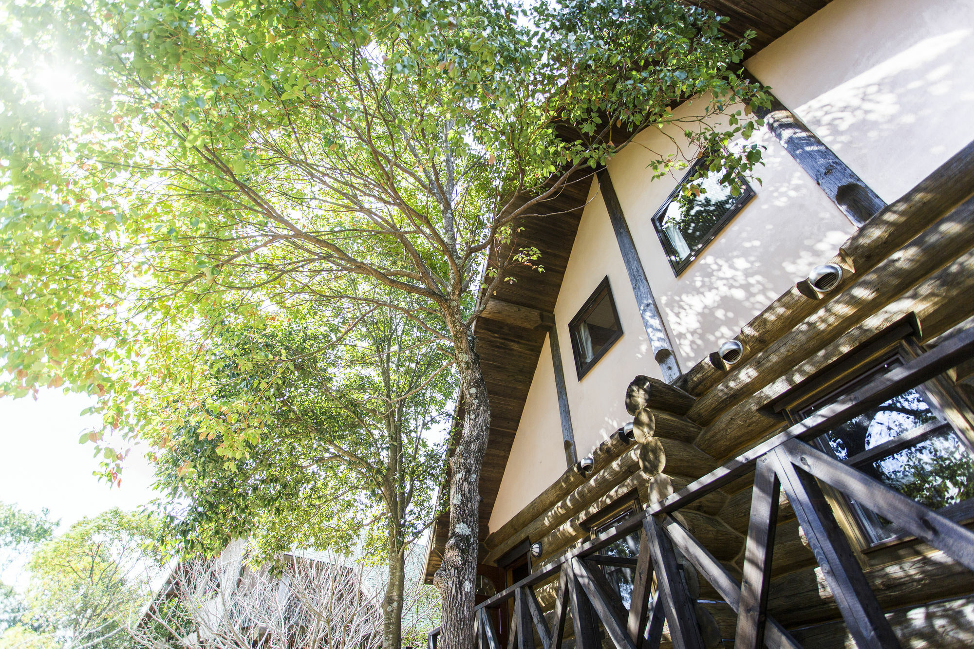 Fiore Shima Shima  Exterior photo